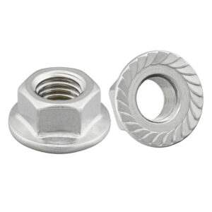 RVS A4 zeskant moeren met vertande flens